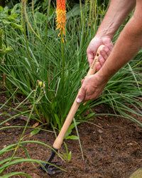 Signature Mid-Length 4 Tine Weeder & Cultivator
