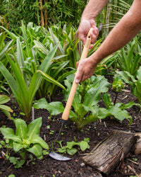 Signature Mid-Length Japanese Weeding Hoe