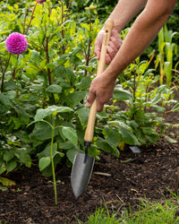 Signature Mid-Length Hand Trowel