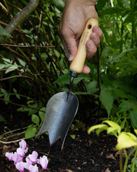 Signature Tulip Trowel