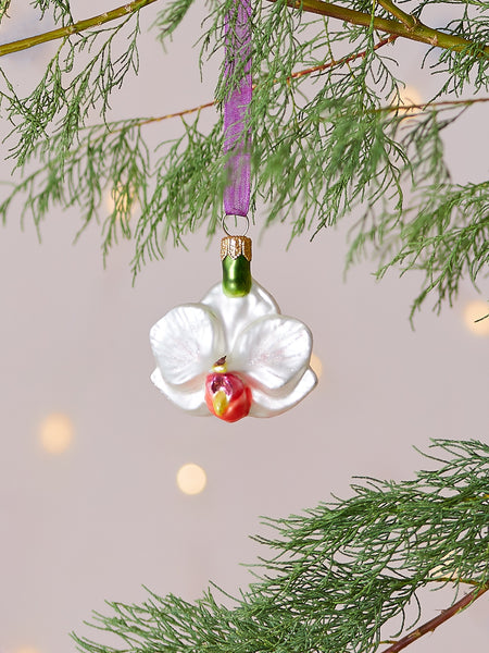 Dan Cooper Garden Moth Orchid Christmas Decoration