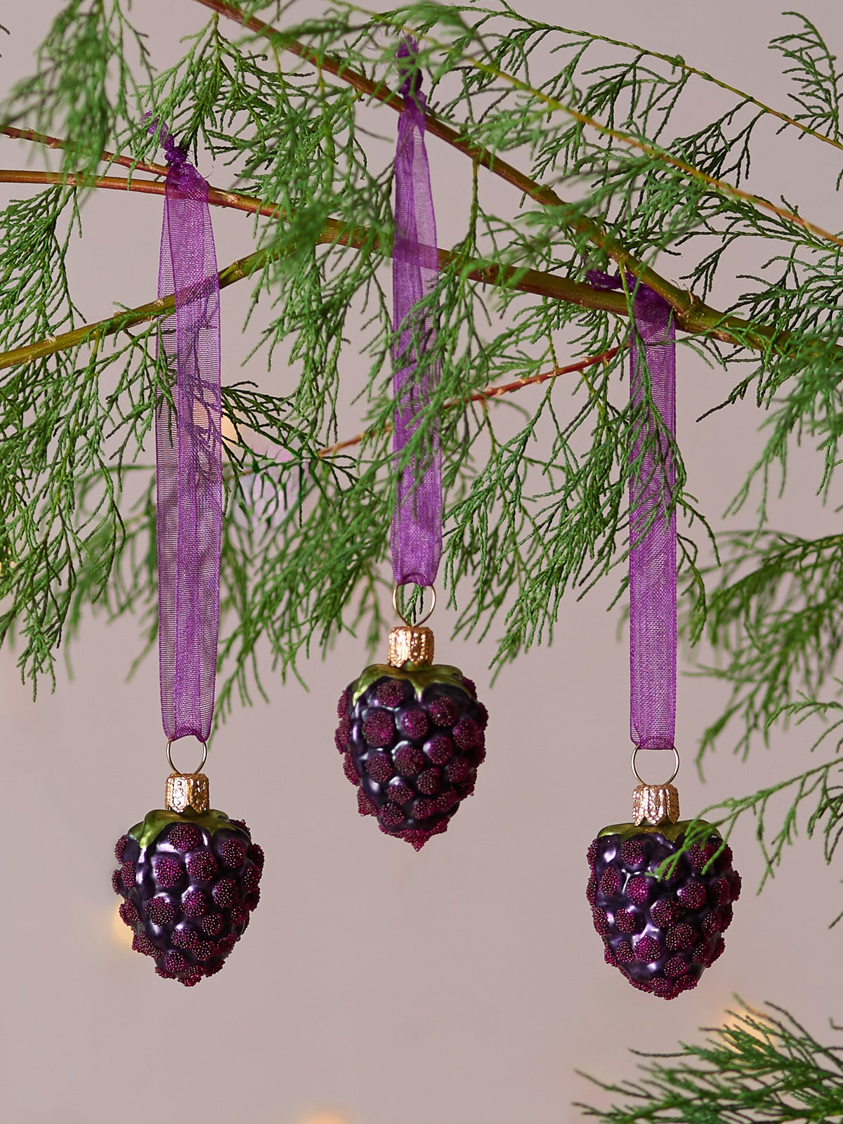 Dan Cooper Garden Blackberry Christmas Decoration