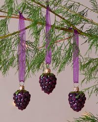 Dan Cooper Garden Blackberry Christmas Decoration