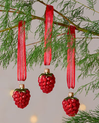 Dan Cooper Garden Raspberry Christmas Decoration