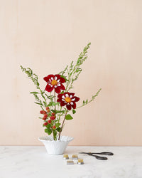Bordallo Pinheiro Daisy Flower Bowl