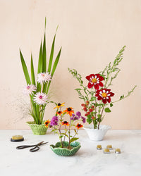 Daisy Flower Bowl and Medium Flower Frog Bundle