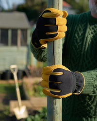 GOLD LEAF WINTER TOUCH GLOVES, MENS