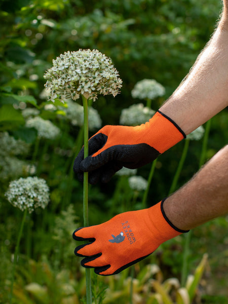 Donkey Gloves Lightweight, Bamboo-Fibre Gardening Gloves, Pack of 2 Pairs