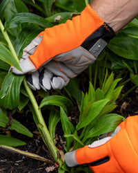Person wearing orange gardening gloves working in a garden