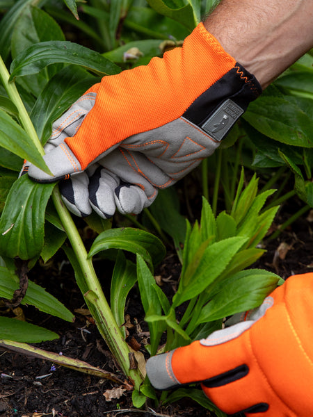 Person wearing orange gardening gloves working in a garden