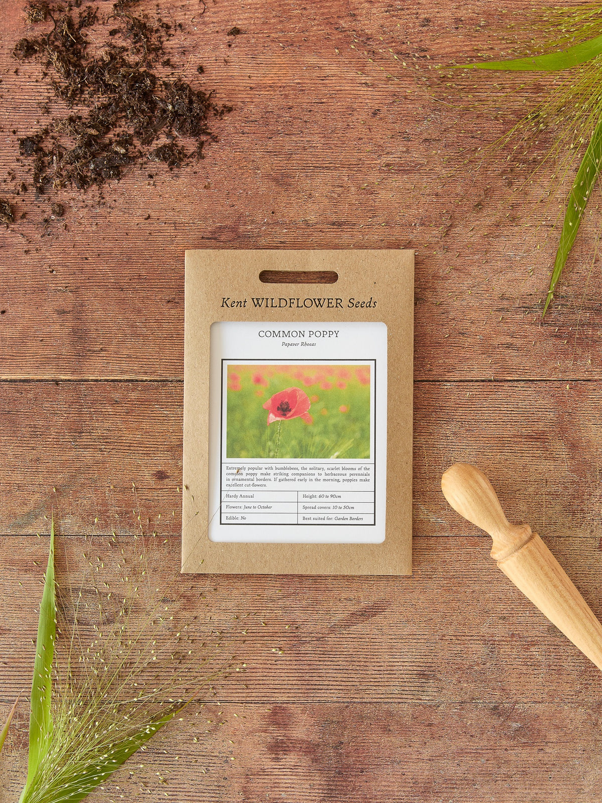 wildflower seeds poppies Kent Wildflower Seeds