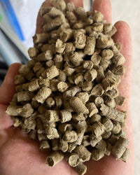Romney Marsh Wools - Organic Wool Slug Pellets in Palm of Hand