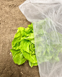 Insectonet Plastic-Free Insect Net