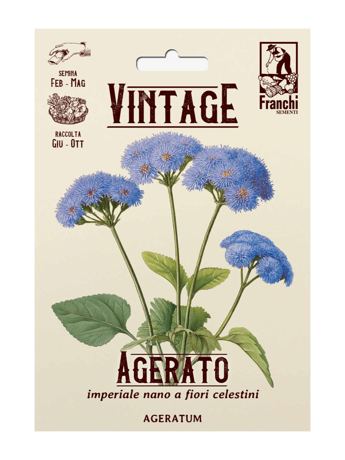 Vintage Franchi seed packet for Ageratum with blue flowers and plant illustration on a beige background.