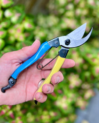 Niwaki Mainichi Secateurs - Left Handed