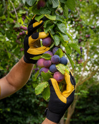 Gold Leaf Soft Touch Gardening Gloves, Mens