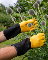 Gold Leaf Tough Touch Gardening Gloves, Womens