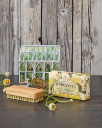 Gardener's Hand Care Gift Set, Citron & Bergamot