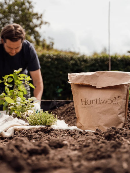 Hortiwool Garden Wool Pads - Pack of 5