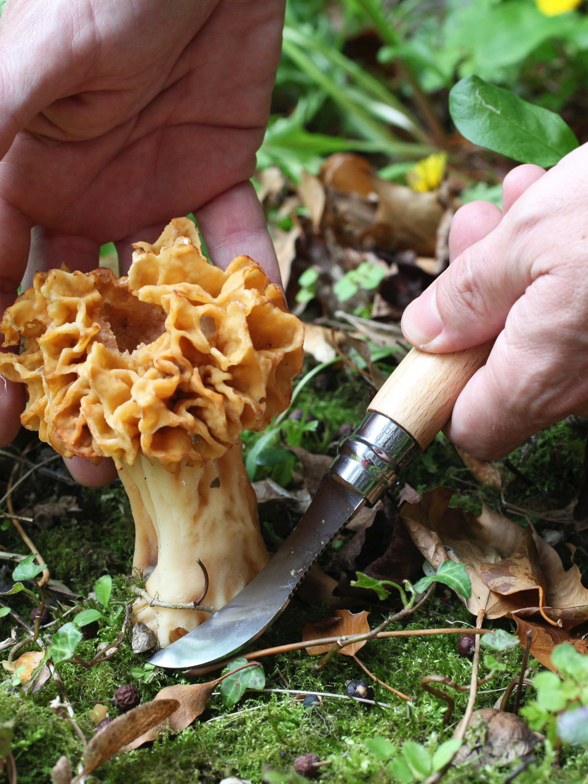 Opinel No.8 Mushroom Knife