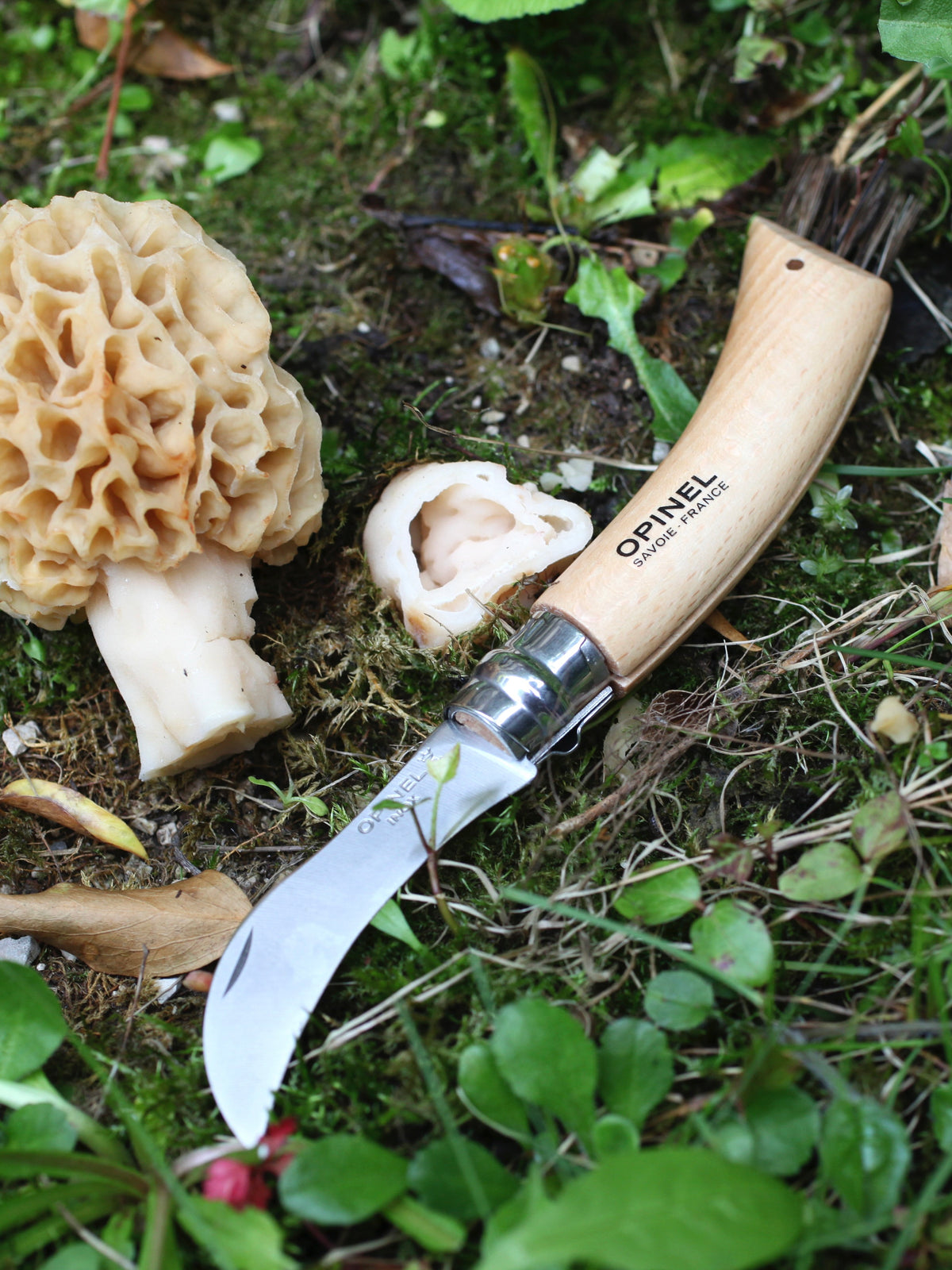 Opinel No.8 Mushroom Knife