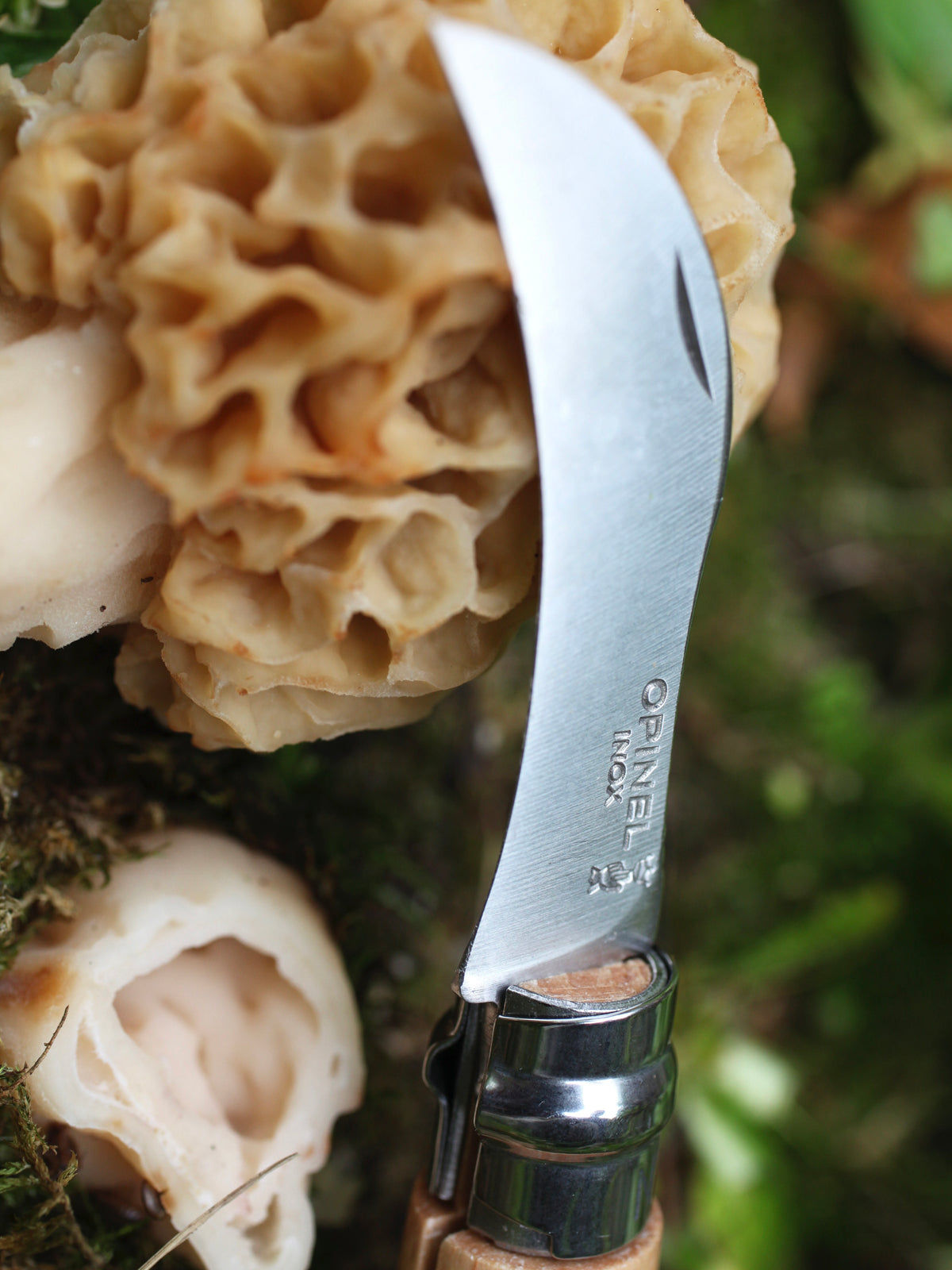 Opinel No.8 Mushroom Knife
