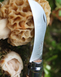 Opinel No.8 Mushroom Knife