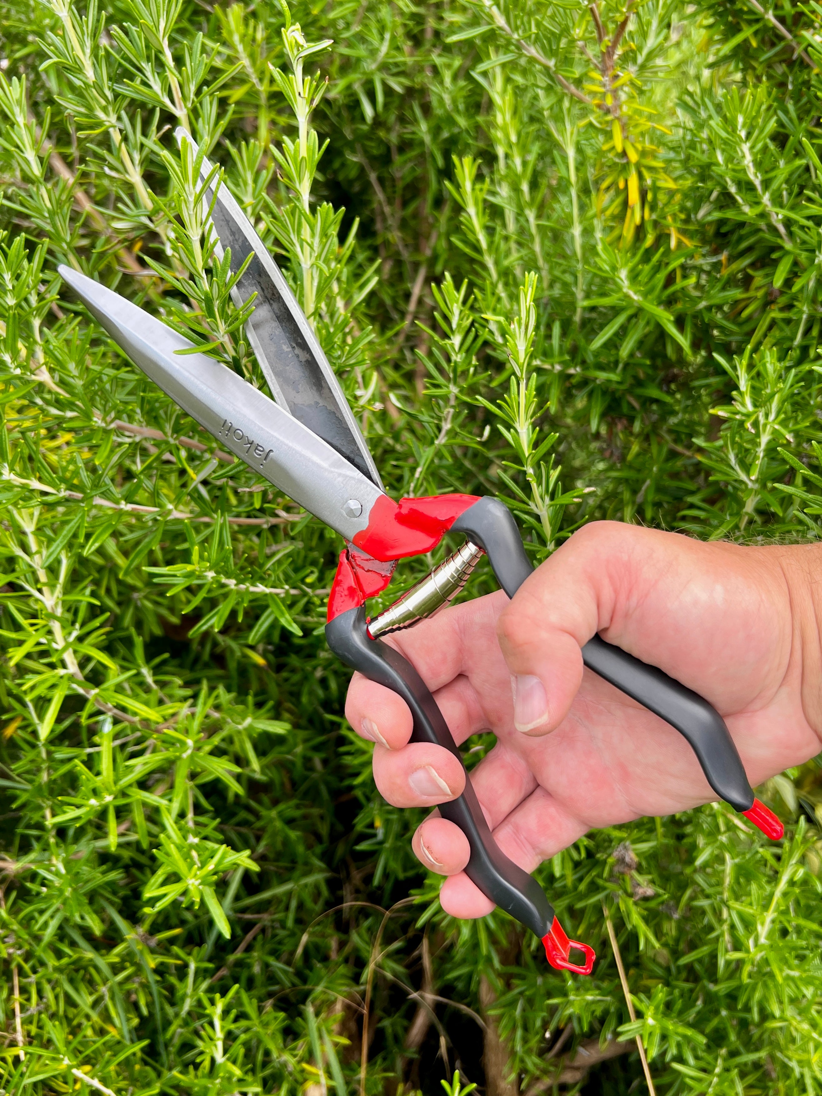 Jakoti Hand Shears – Dan Cooper Garden