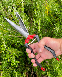 Jakoti Hand Shears