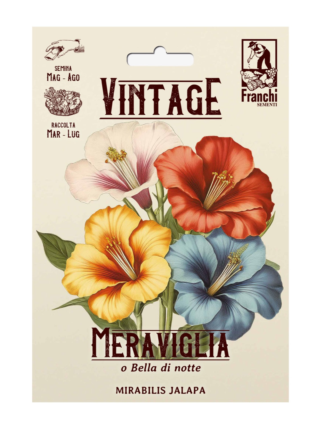 Franchi Seeds - Marvel of Peru / Four O'Clock Plant