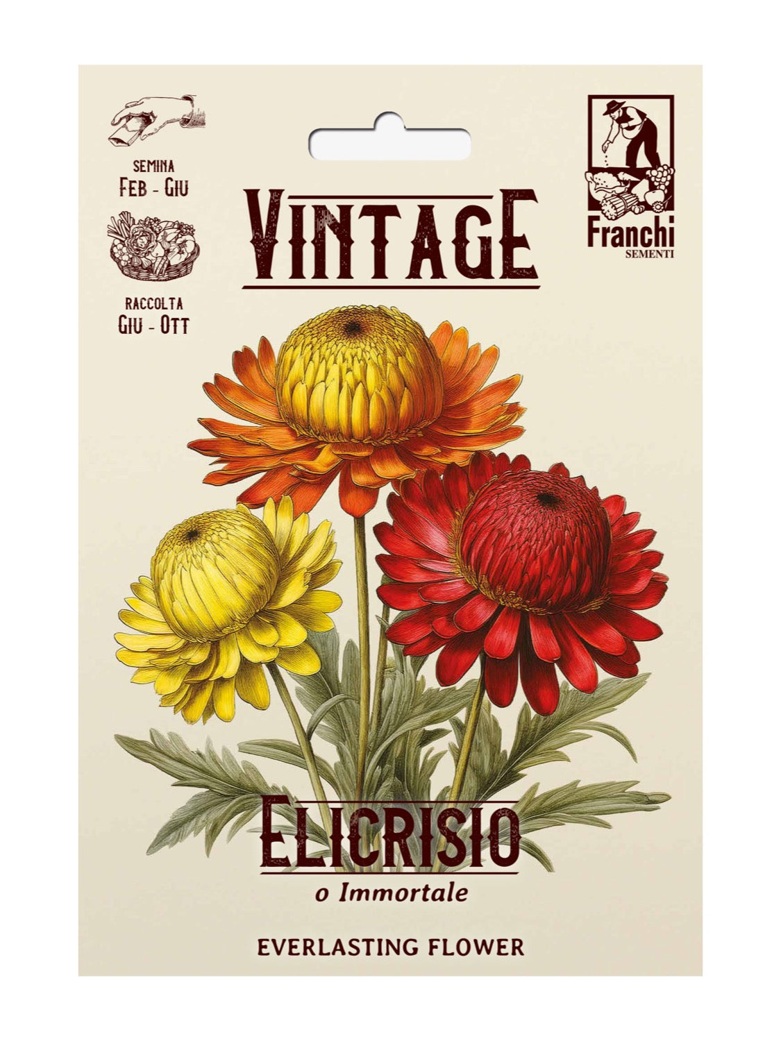 Franchi Seeds - Xerochrysum Mixed