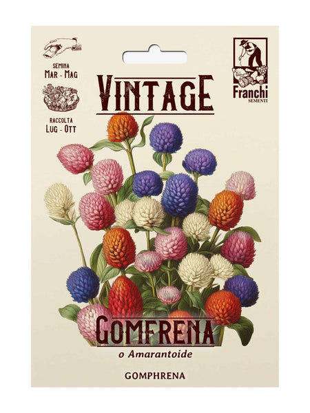 Franchi Seeds - Gomphrena