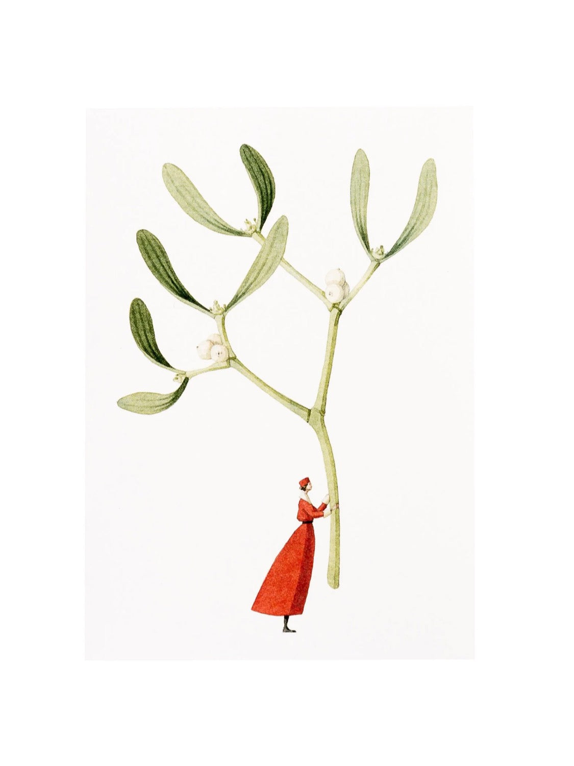 Laura Stoddart Holly & Mistletoe Christmas Cards, Pack of 10