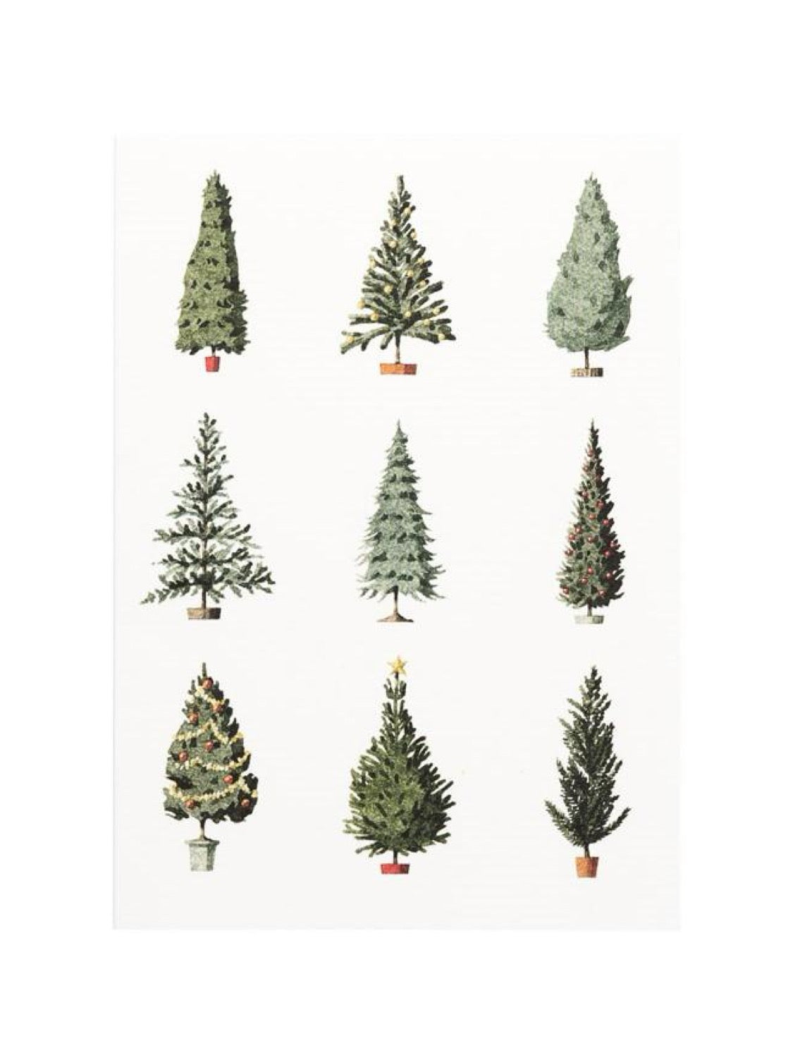 Laura Stoddart Christmas Trees Christmas Cards, Pack of 10