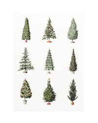 Laura Stoddart Christmas Trees Christmas Cards, Pack of 10