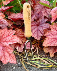 Dan Cooper Garden Signature Twin Pronged Weeding Fork