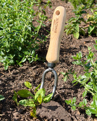 Dan Cooper Garden Signature Twin Pronged Weeding Fork
