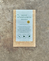Kent Wildflower Seeds - Oxeye Daisy (Leucanthemum vulgare)