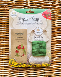 Twool Prop it ‘n’ Crop it - Tomato 'Ailsa Craig'