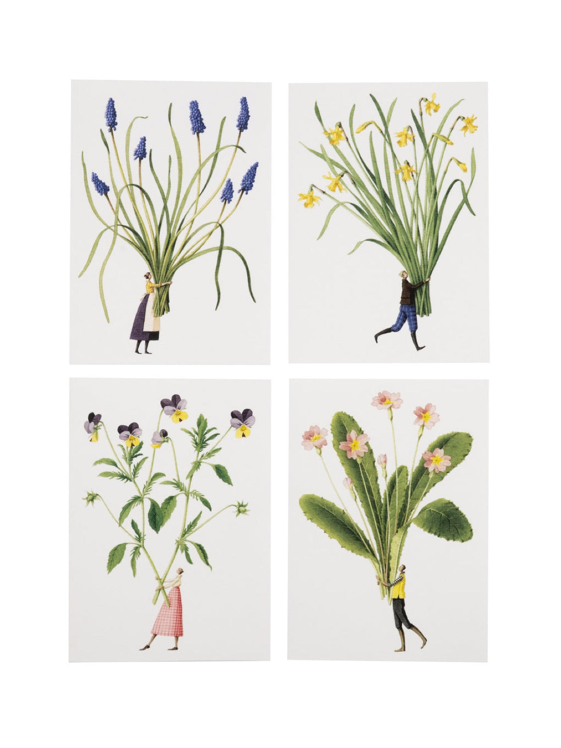 Laura Stoddart Spring Flowers Notecards