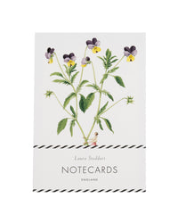 Laura Stoddart Spring Flowers Notecards