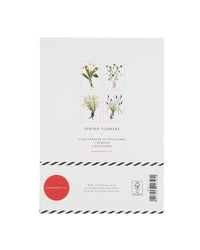 Laura Stoddart Spring Flowers Notecards