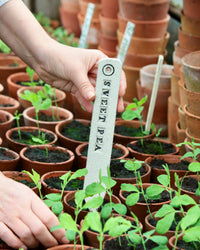 'Sweet Pea' Handmade Stoneware Plant Label