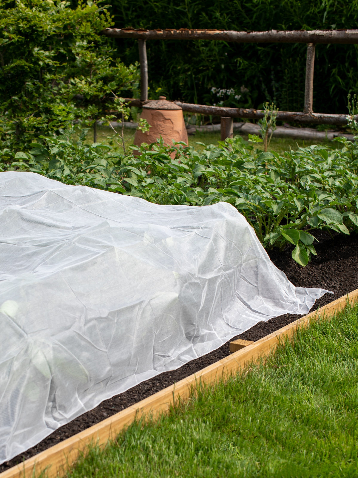 Insectonet Plastic-Free Insect Net