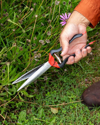 Jakoti Hand Shears