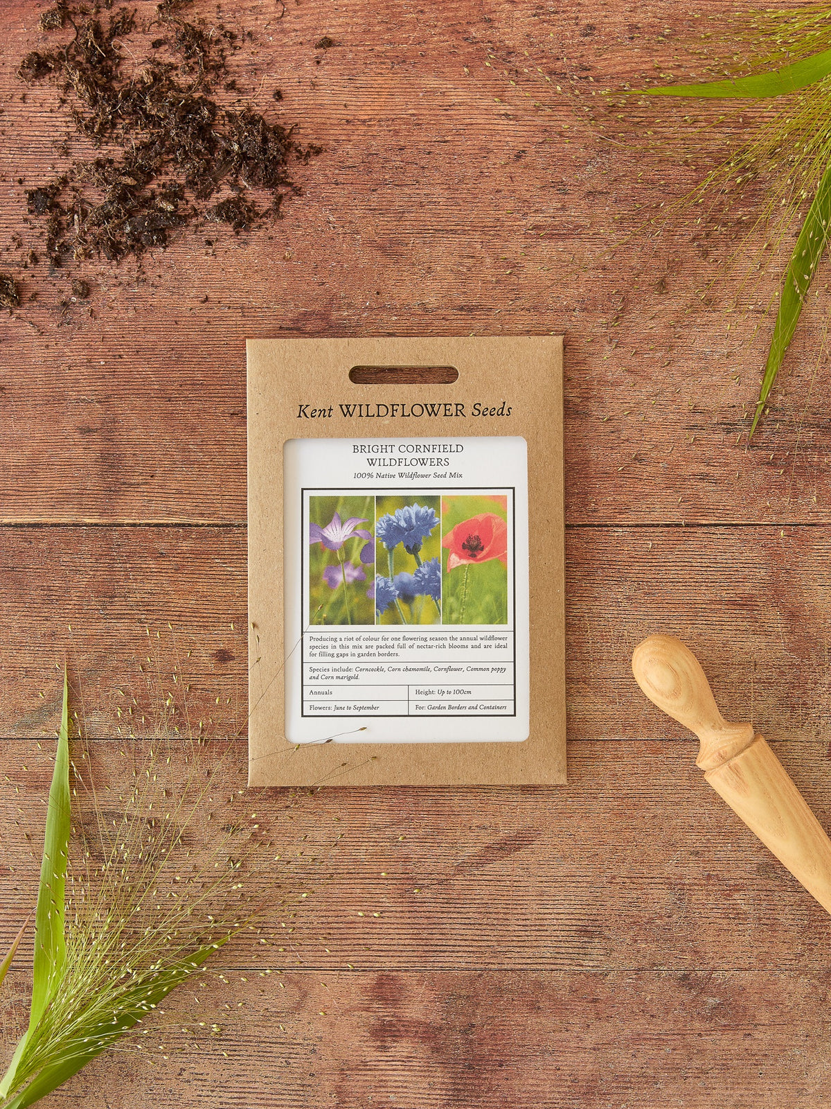 Kent Wildflower Seeds - Bright Cornfield Annuals Mix