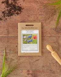 Kent Wildflower Seeds - Bright Cornfield Annuals Mix
