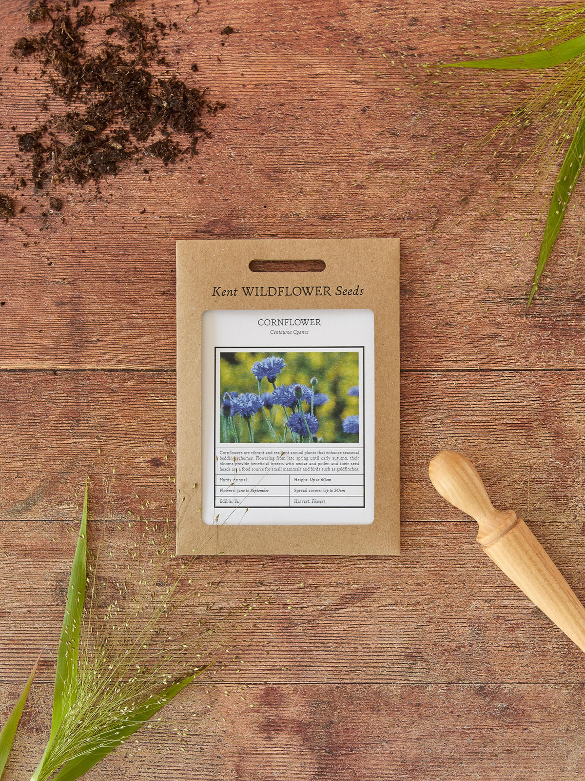 hardy wildflower seeds Kent Wildflower Seeds