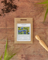 Kent Wildflower Seeds - Cornflower (Centaurea cyanus)