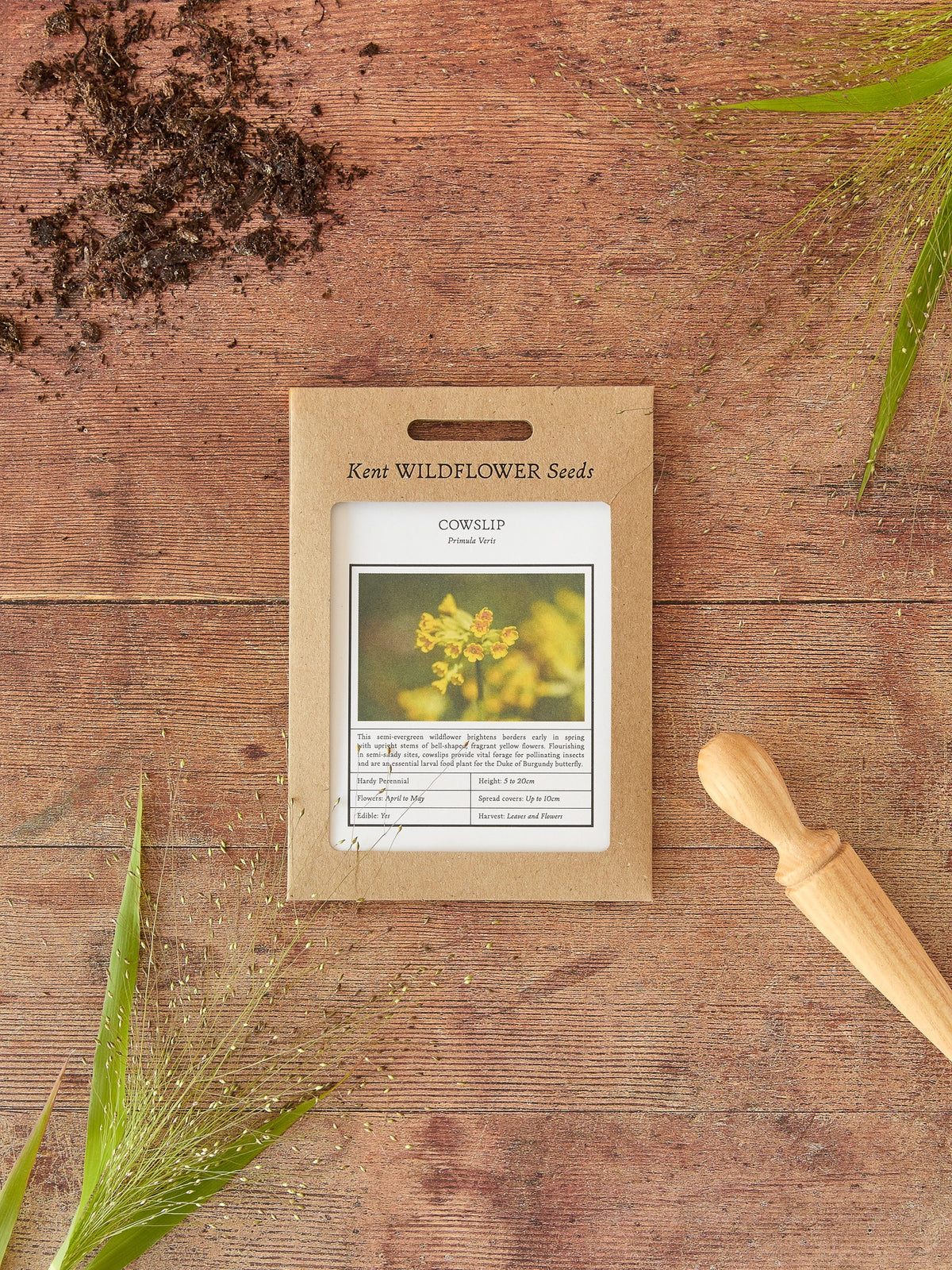 planting cowslip seeds Kent Wildflower Seeds